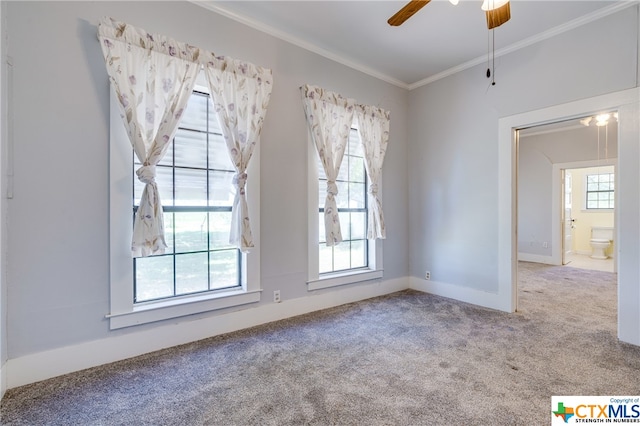 unfurnished room with ornamental molding, carpet flooring, and ceiling fan