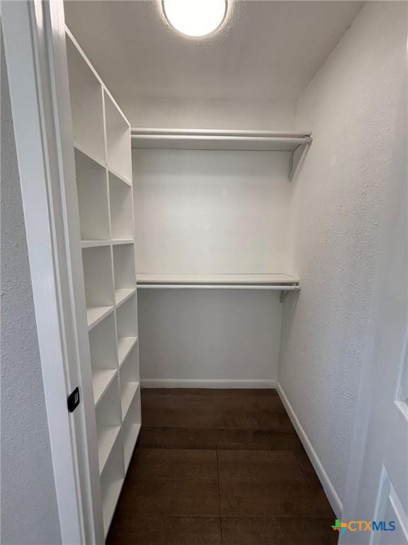 walk in closet featuring dark wood-type flooring