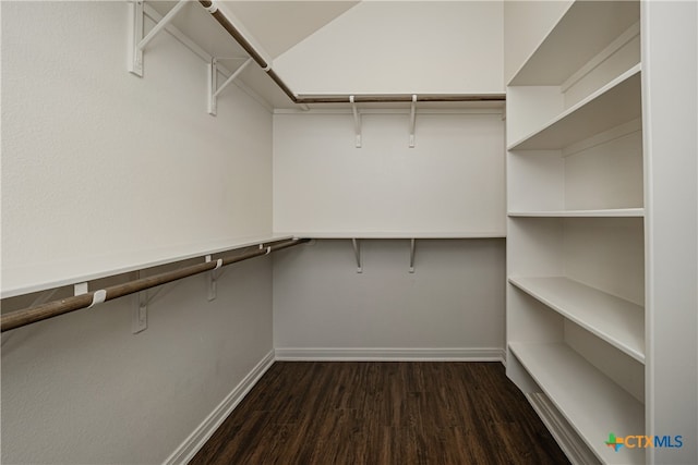 walk in closet with dark wood-type flooring