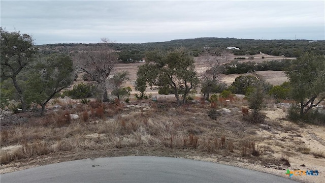 Listing photo 3 for 704 Roland Run, Bulverde TX 78163