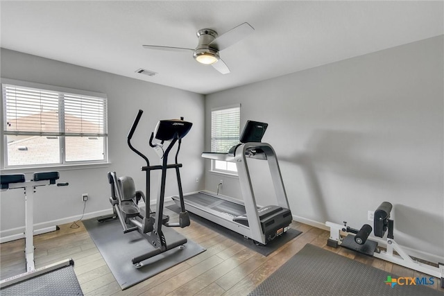 3405 Campanella Dr, Round Rock, TX 78665 - workout room featuring a ceiling fan, wood finished floors, and baseboards