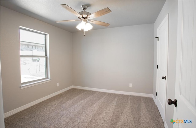 3217 Digby Dr, Belton, TX 76513 - photo 22