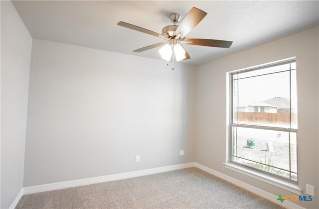 3217 Digby Dr, Belton, TX 76513 - photo 15