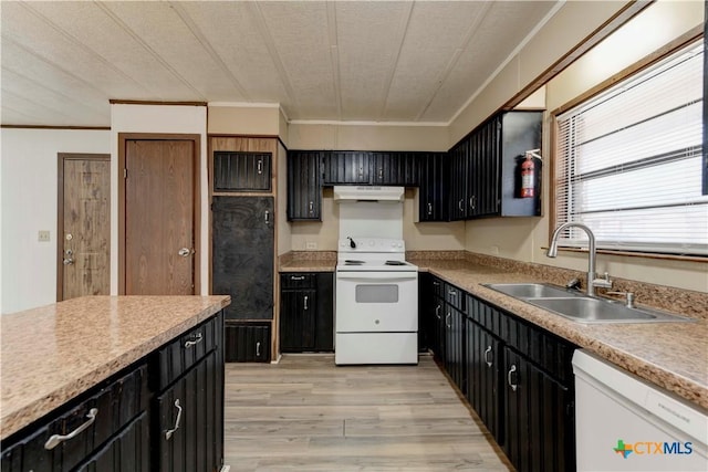 kitchen featuring sink, ornamental molding, a textured ceiling, white appliances, and light wood-type flooring