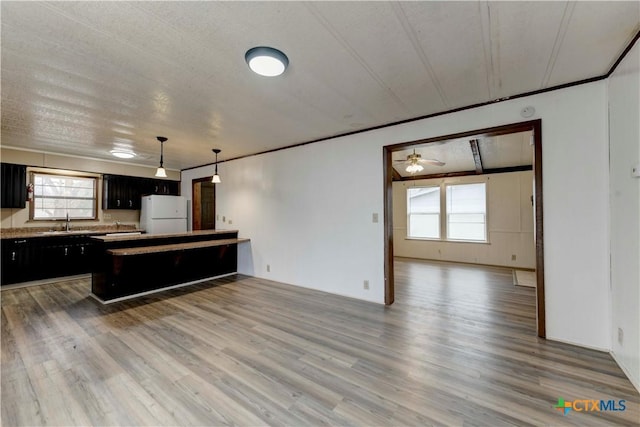 kitchen with ceiling fan, sink, light hardwood / wood-style flooring, white refrigerator, and crown molding