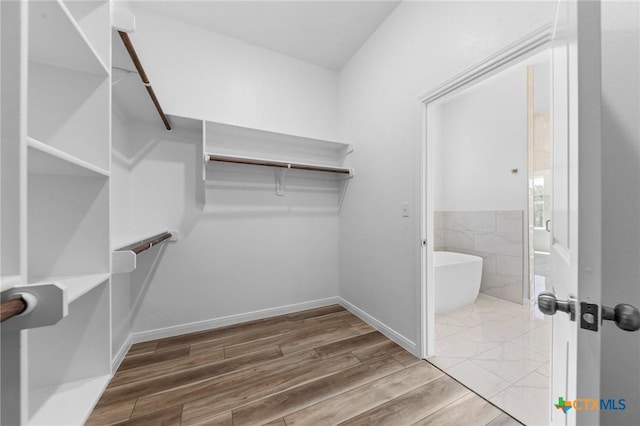 walk in closet featuring wood finished floors