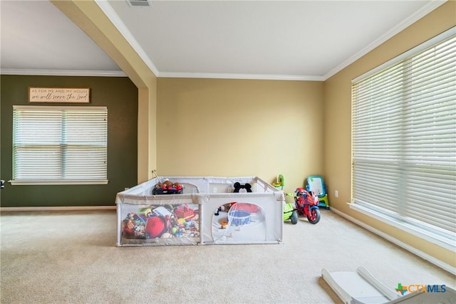 1002 Wallin Farms Cv, Hutto, TX 78634 - playroom with crown molding, carpet, and plenty of natural light