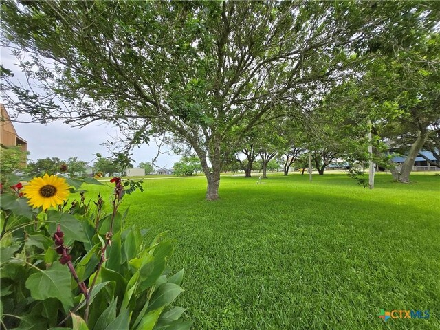 248 Stovall Dr, Palacios, TX 77465