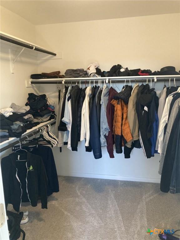 walk in closet with carpet