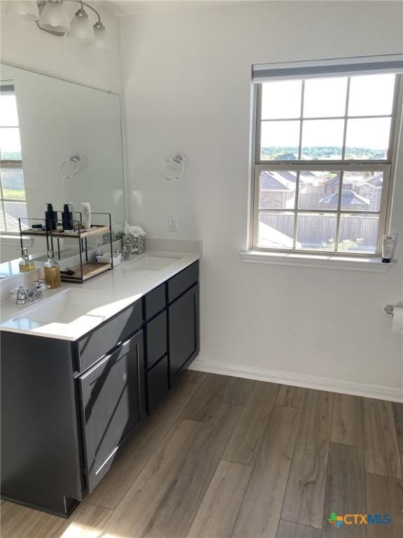 full bathroom featuring a wealth of natural light, double vanity, a sink, and wood finished floors