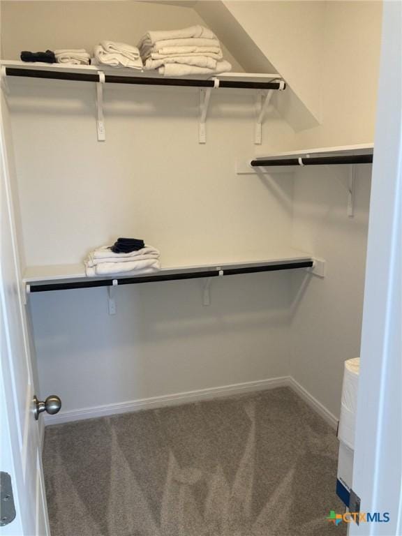 spacious closet with carpet floors