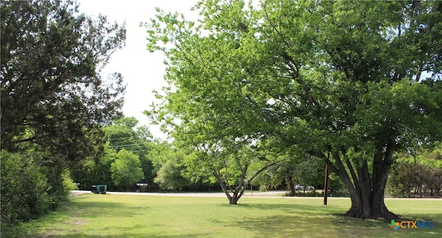 208 Old Fort Gates Rd, Gatesville, TX 76528 - view of community featuring a yard and view of wooded area