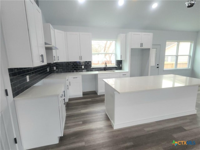 kitchen with white cabinetry and a kitchen island