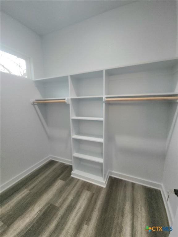 walk in closet with dark wood-type flooring