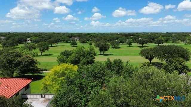 213 Tracy Ln, Victoria, TX 77904 - aerial view