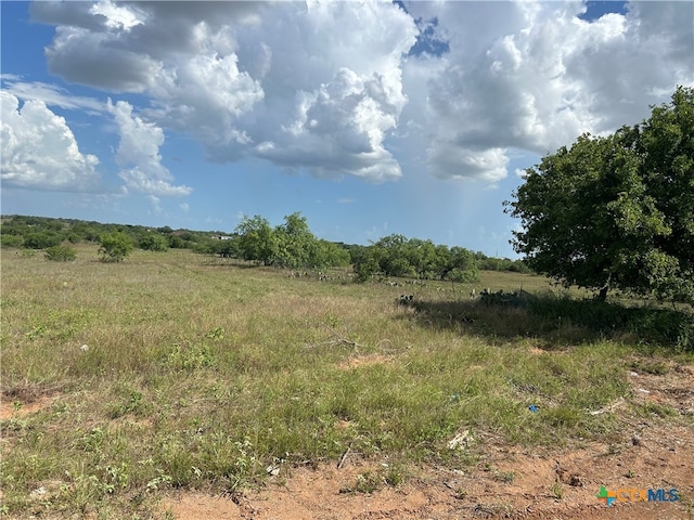 Listing photo 2 for 0 County Road 329, Floresville TX 78114