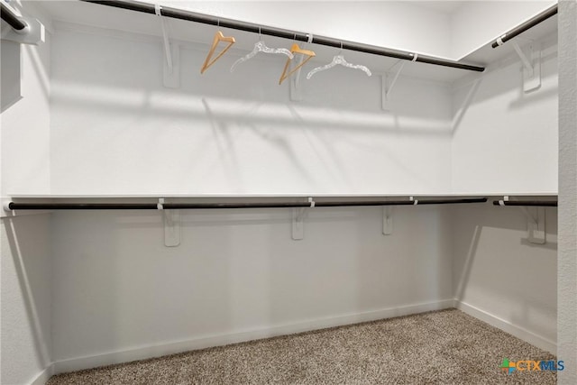 2917 Sage Ranch Dr, Leander, TX 78641 - spacious closet featuring light carpet