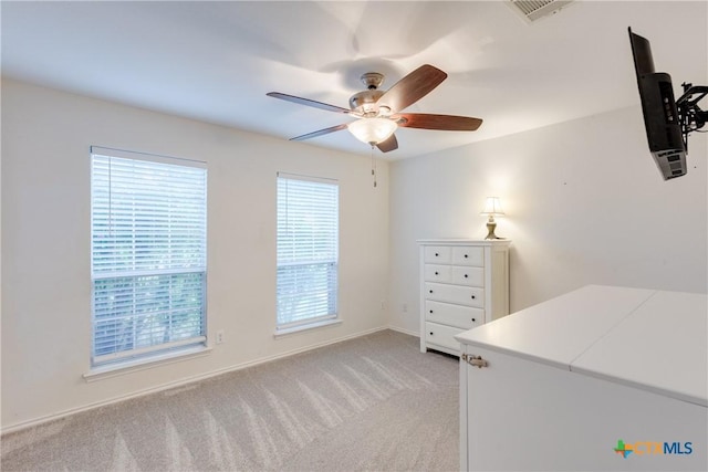 1312 Kothman Dr, Hutto, TX 78634 - photo 24