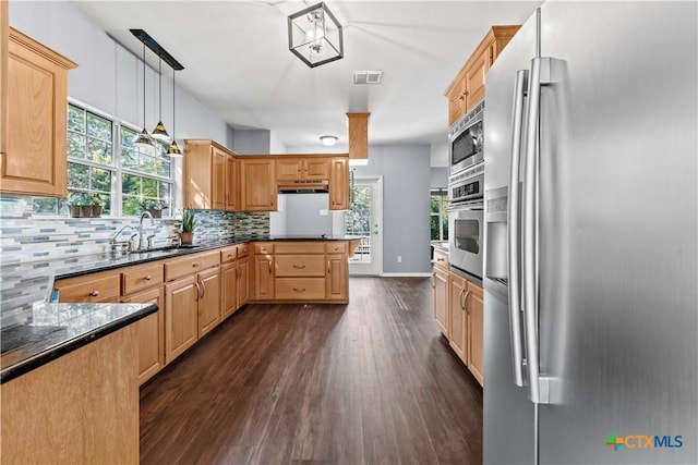 16047 Charlya Dr, Temple, TX 76502 - kitchen with stainless steel appliances, a sink, dark wood-style flooring, and healthy amount of natural light