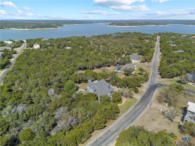 16047 Charlya Dr, Temple, TX 76502 - aerial view of property's location featuring a nearby body of water and a heavily wooded area