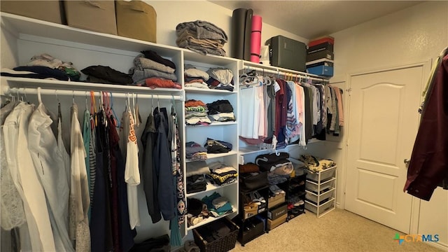 walk in closet with carpet floors