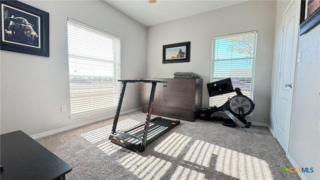 exercise area featuring a healthy amount of sunlight and carpet floors