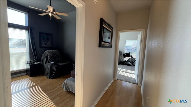 207 Hatter Dr, Moody, TX 76557 - photo 23