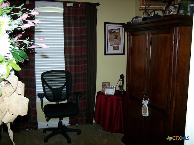 101 Laurel Oak Cir, Cuero, TX 77954 - office area featuring carpet flooring