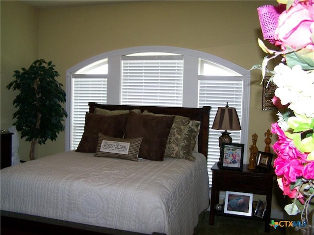 101 Laurel Oak Cir, Cuero, TX 77954 - view of bedroom