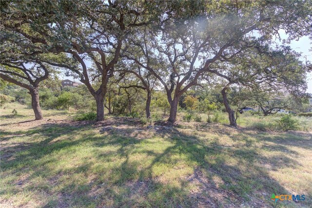 5830 Camp Creek Dr, New Braunfels, TX 78132 - photo 12