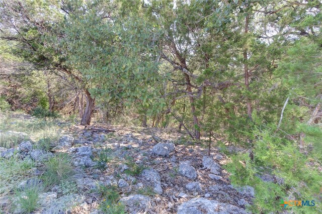 5830 Camp Creek Dr, New Braunfels, TX 78132 - photo 20