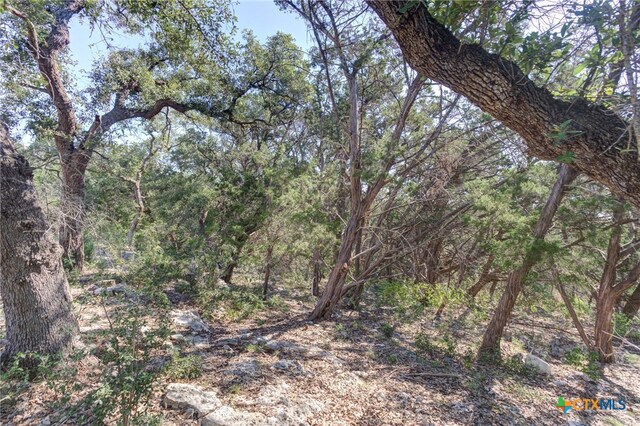 5830 Camp Creek Dr, New Braunfels, TX 78132 - photo 15