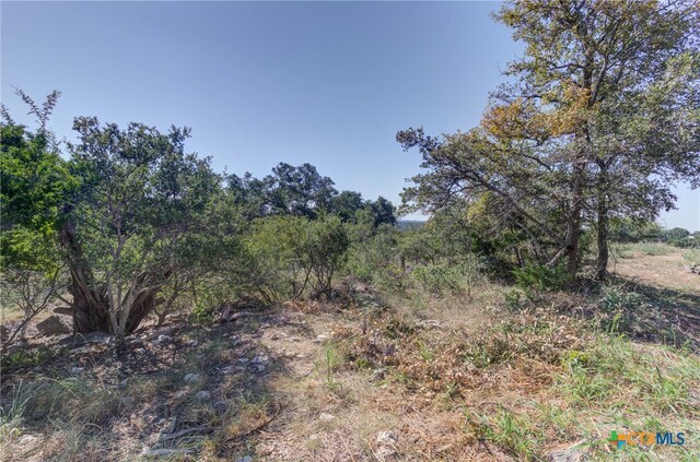 5830 Camp Creek Dr, New Braunfels, TX 78132 - photo 13