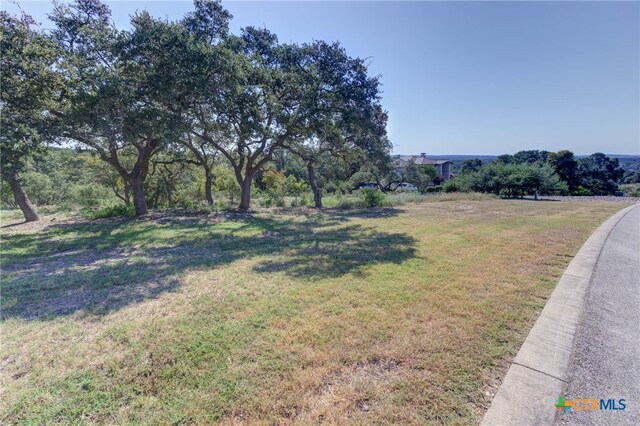 5830 Camp Creek Dr, New Braunfels, TX 78132 - photo 11
