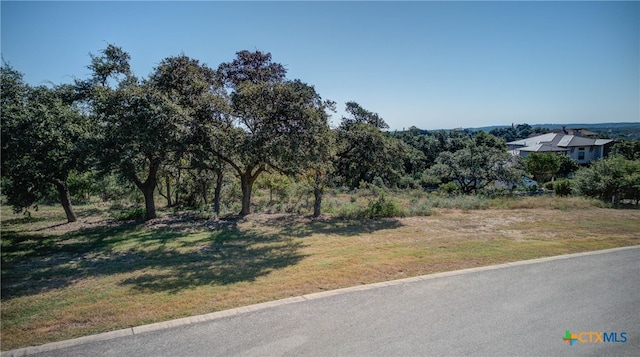 Listing photo 2 for 5830 Camp Creek Dr, New Braunfels TX 78132