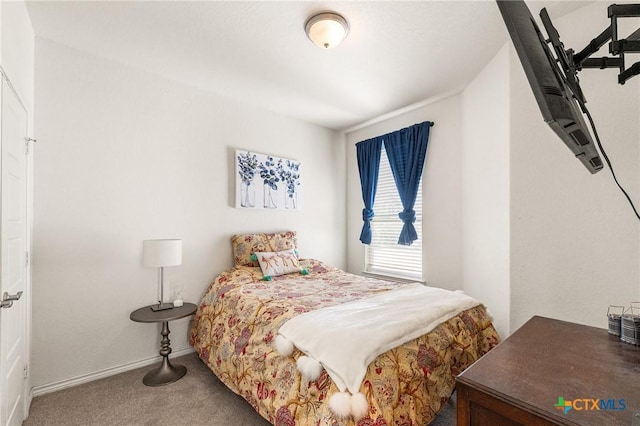 14902 Ardilla, San Antonio, TX 78217 - bedroom with carpet flooring and baseboards