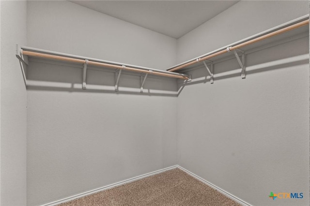 702 Stonevalley Rd, Temple, TX 76502 - spacious closet featuring carpet flooring