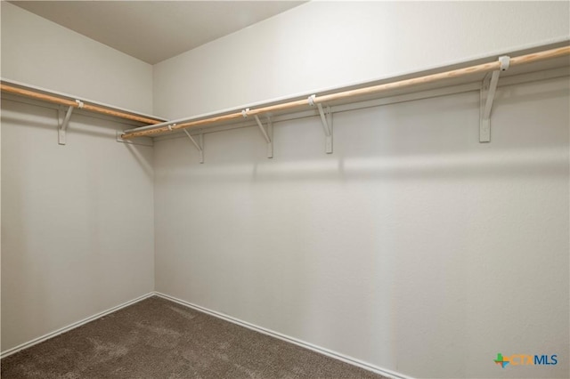 1313 Juneberry Park Dr, Temple, TX 76502 - spacious closet featuring dark colored carpet