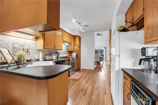 kitchen with sink, light hardwood / wood-style flooring, ceiling fan, kitchen peninsula, and stainless steel appliances