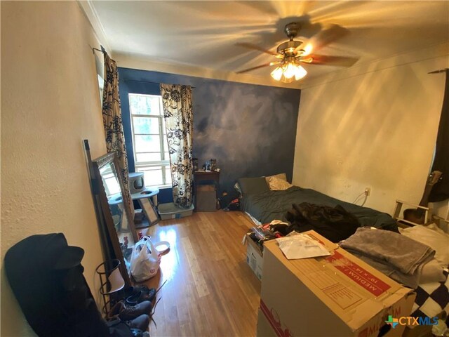 948 Sycamore St, San Marcos, TX 78666 - bedroom featuring wood finished floors, ceiling fan, a textured wall, and crown molding