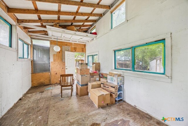 948 Sycamore St, San Marcos, TX 78666 - below grade area with plenty of natural light
