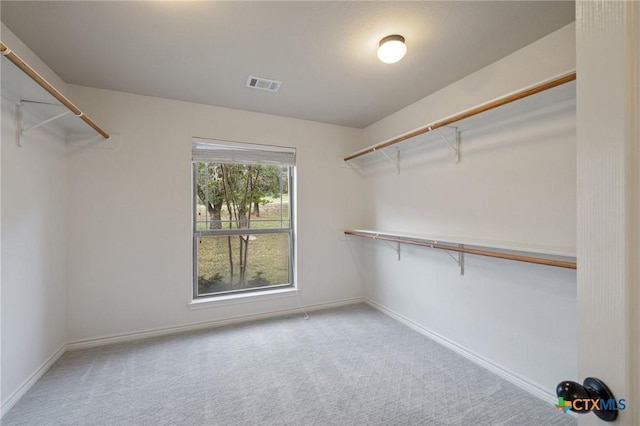 215 Maverick Cir, Horseshoe Bay, TX 78657 - walk in closet featuring carpet