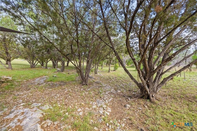215 Maverick Cir, Horseshoe Bay, TX 78657 - view of yard