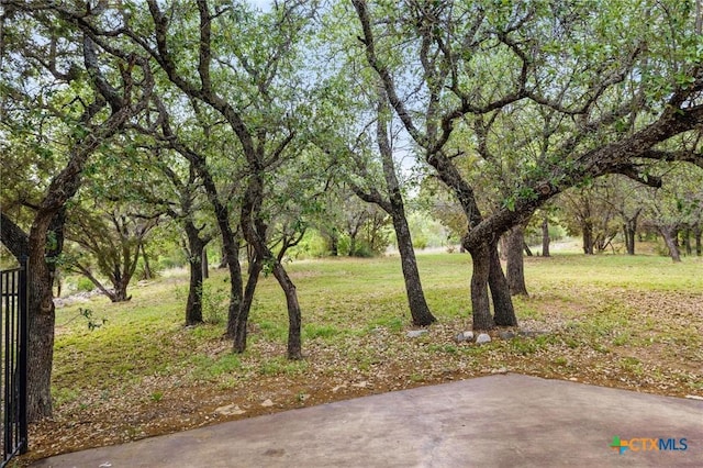 215 Maverick Cir, Horseshoe Bay, TX 78657 - view of grassy yard