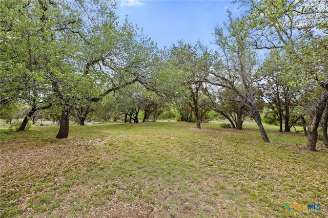 215 Maverick Cir, Horseshoe Bay, TX 78657 - view of grassy yard