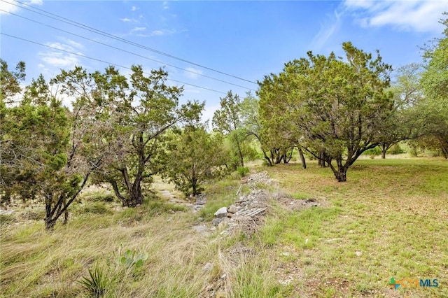 215 Maverick Cir, Horseshoe Bay, TX 78657 - view of local wilderness
