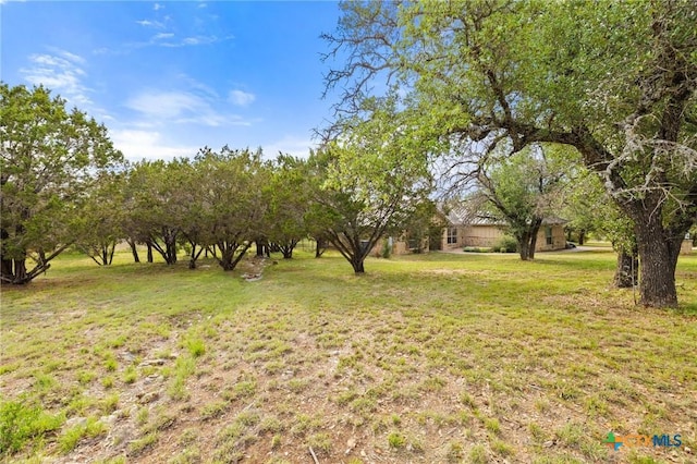 215 Maverick Cir, Horseshoe Bay, TX 78657 - view of green lawn