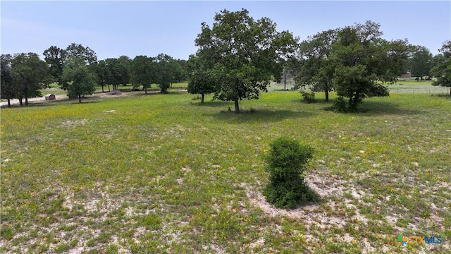 56 Powder Rdg, Luling, TX 78648 - view of grassy yard
