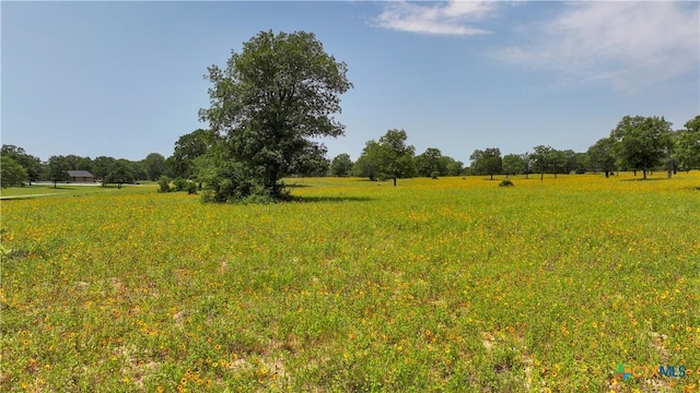 56 Powder Rdg, Luling, TX 78648 - view of yard featuring a view of rural / pastoral area