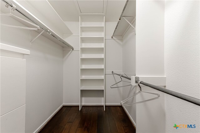 walk in closet with dark wood-style flooring